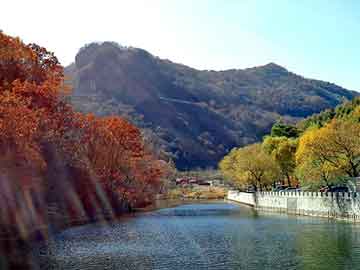 管家婆黑白马报图库，火山石产地